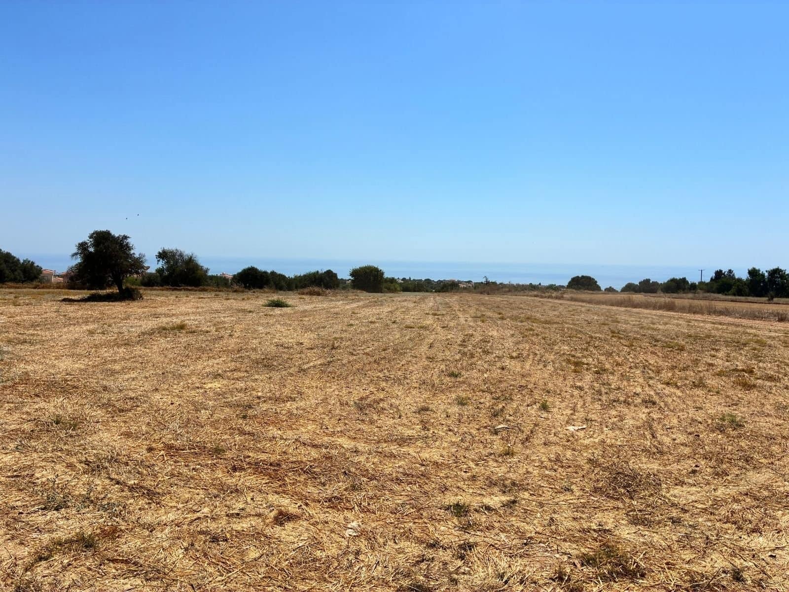 Large plot of residentual LAnd in Tala tremeithousa paphos Large plot of residentual LAnd in Tala tremeithousa paphos