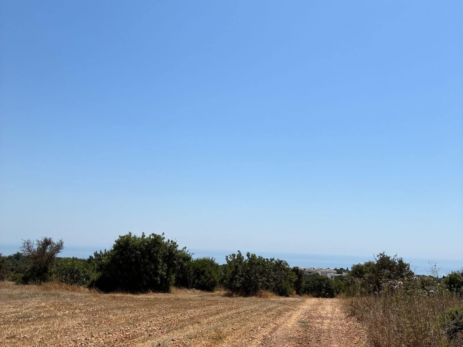Large plot of residentual LAnd in Tala tremeithousa paphos Large plot of residentual LAnd in Tala tremeithousa paphos