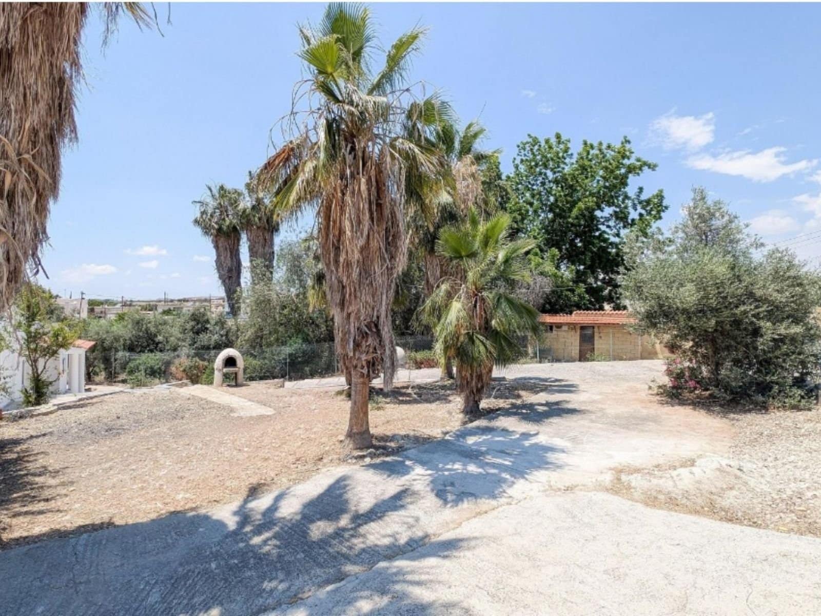 4 Bedroom Bungalow in Anarita paphos with large plot 4 Bedroom Bungalow in Anarita paphos with large plot
